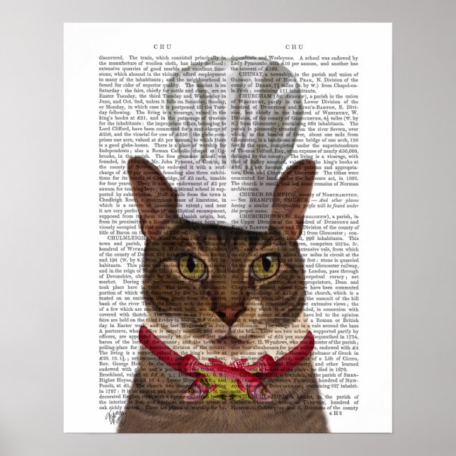 Poster Chef de Gato (Frente)