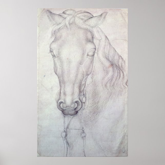 Poster Chefe de Cavalo (Frente)