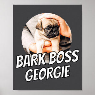 Poster Chefe de Latido Pet Cachorro Foto Moderno Simples