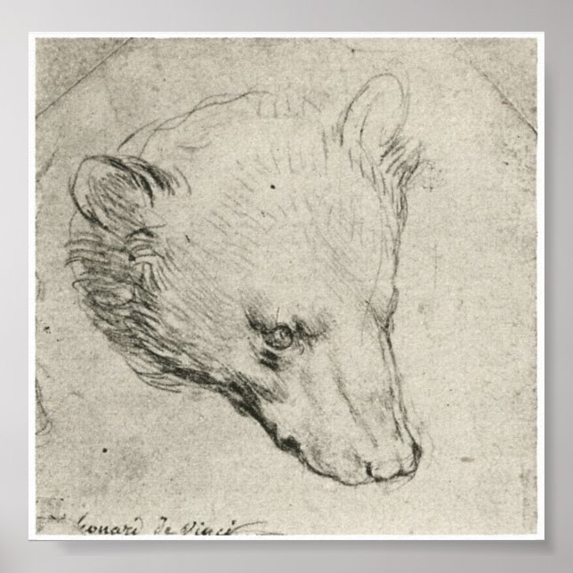 Póster Chefe de Urso, Leonardo Da Vinci (Frente)