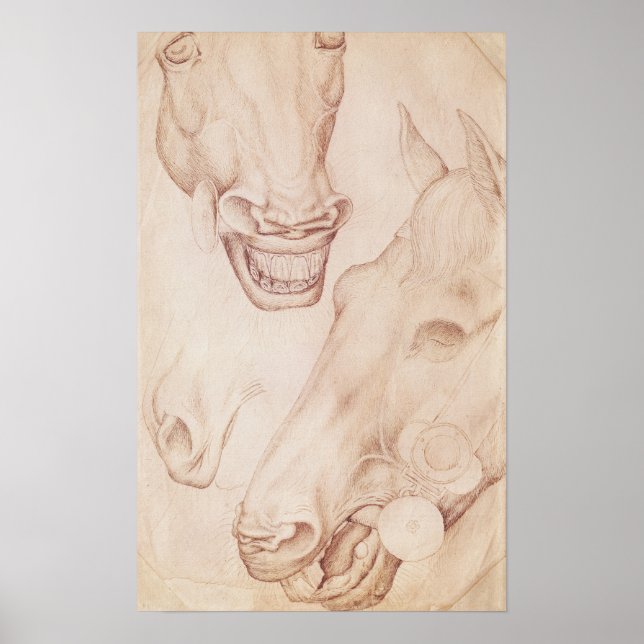 Póster Chefes de Cavalo, do Álbum Vallardi (Frente)