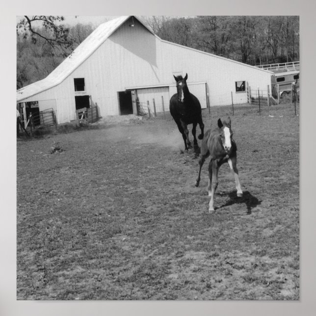 Poster Chegando em Ya (Frente)