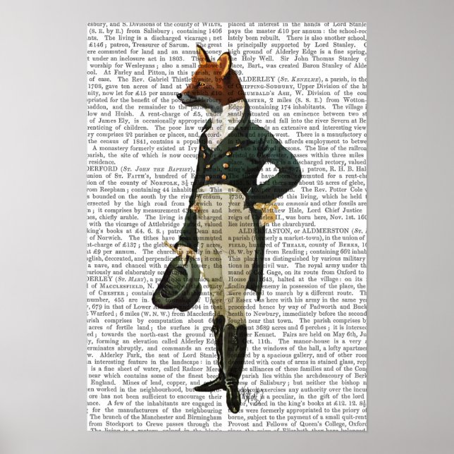 Póster Cheio Dandy Fox (Frente)