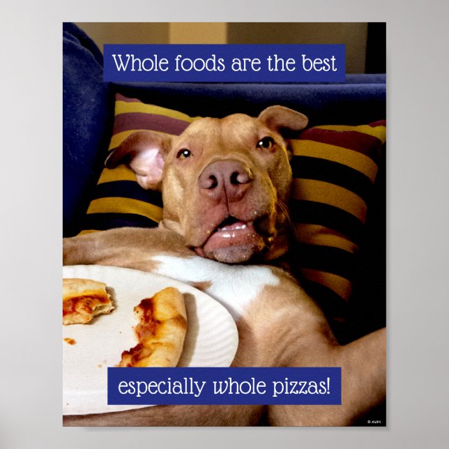 Poster Cheio De Cães De Pizza (Frente)