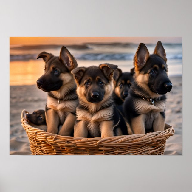 Poster Cheio de cesto de estuppias de German shepherd (Frente)