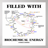 Cheio De Energia Bioquímica (Ciclo De Krebs)