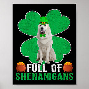 Poster Cheio de Travessuras Cachorro Irlandês Great Pyren