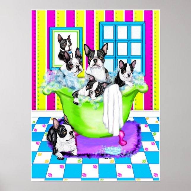 Póster Cheio do Tub de Boston Terrier (Frente)
