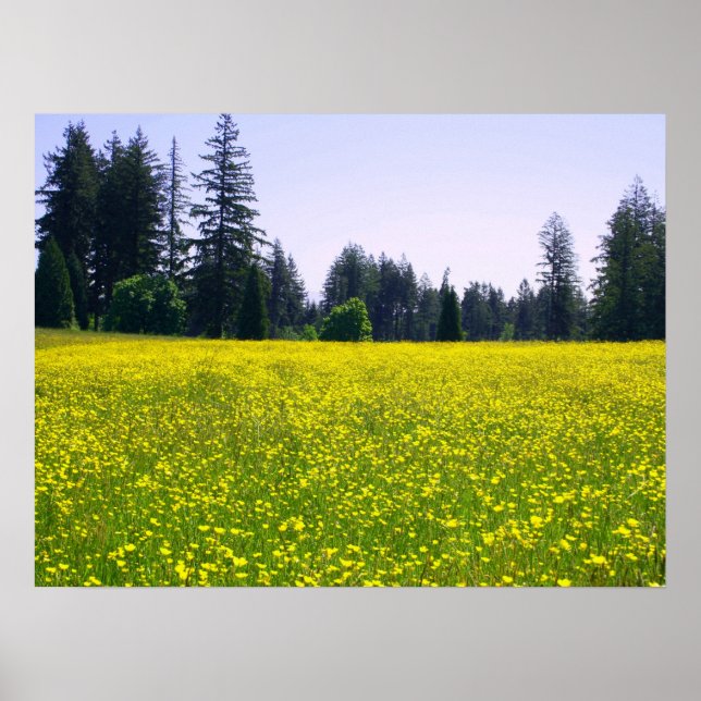 Póster Cheio florescente (Frente)