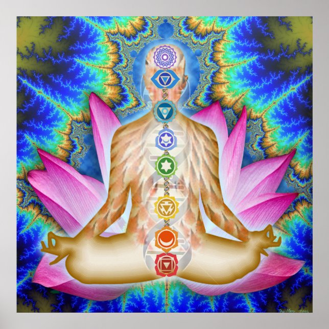 Póster Cheio Lotus Deep Samadhi (Frente)