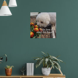Poster Cheire as Flores