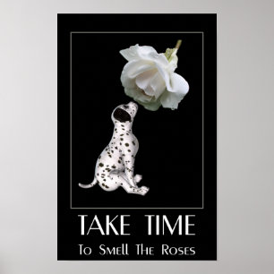 Poster Cheire as Rosas Cachorrinho Dálmata Inspirador