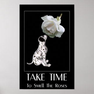 Poster Cheire as Rosas Cachorrinho Dálmata Inspirador
