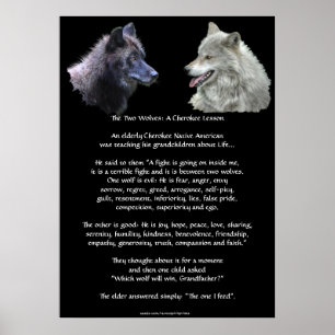 Poster CHEROKEE da arte do CONTO de DOIS LOBOS