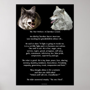Poster CHEROKEE da arte do CONTO de DOIS LOBOS