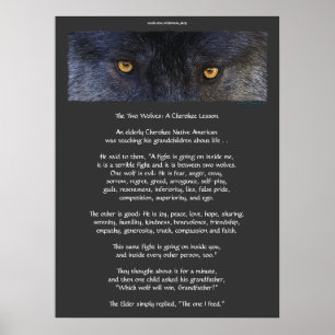 Poster CHEROKEE da arte do CONTO de DOIS LOBOS