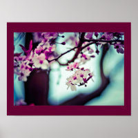 Cherry Blossom Branch