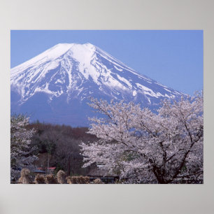 Poster Cherry Blossom e Monte Fuji