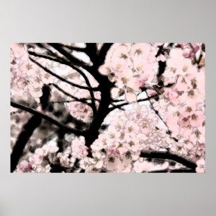 Póster Cherry Blossom Editado