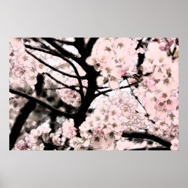 Póster Cherry Blossom Editado (Frente)