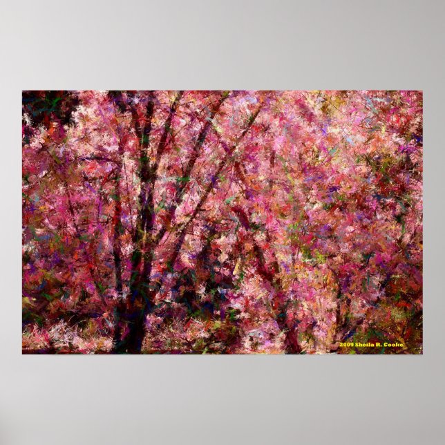 Poster Cherry Blossoms (Frente)