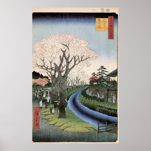 Póster Cherry Blossoms nas margens do rio Tama (Frente)