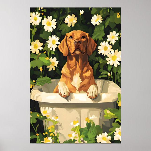Poster Chesapeake Bay Retriever In Bathtub Poster, Funny (Frente)
