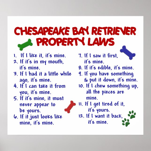 PÓSTER CHESAPEAKE BAY RETRIEVEVER PL2 (Frente)