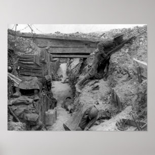 Póster Cheshire Reg't no Somme