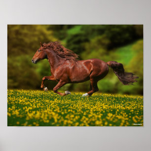Poster Chestnut Lusitano Correndo Em Buttercups