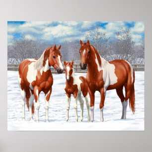 Póster Chestnut Pinto Sorrel Paint Quarter Hors Em Neve