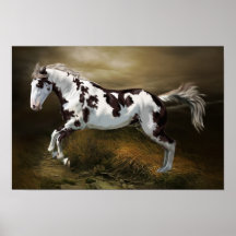 Chestnut Splash Frame Tovero Paint Horse