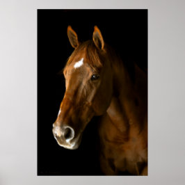 Póster Chestnut Thorough