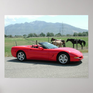 Póster Chevrolet Corvette C5 convertível