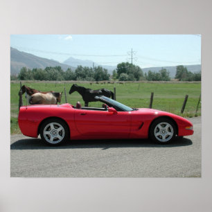 Poster Chevrolet Corvette C5 convertível