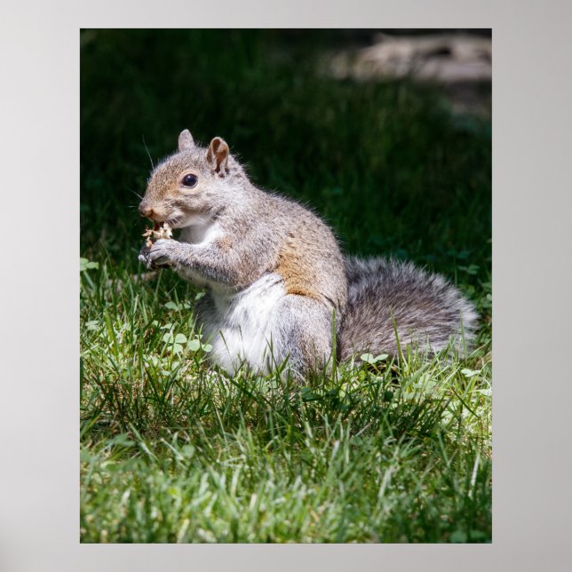 Poster Chewing on it (Frente)