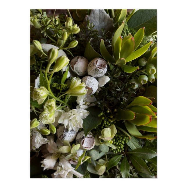 Póster Chic Moody Botanicals (Frente)