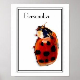 Póster Chic Spotted Ladybug Com Nome