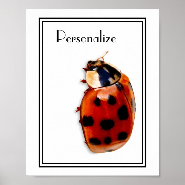 Póster Chic Spotted Ladybug Com Nome (Frente)