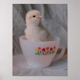 Poster Chick in Vintage Teacup