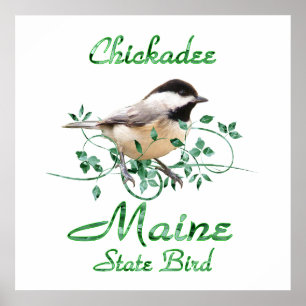 Póster Chickadee Maine State Bird