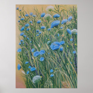 Poster Chicória e ervas selvagens