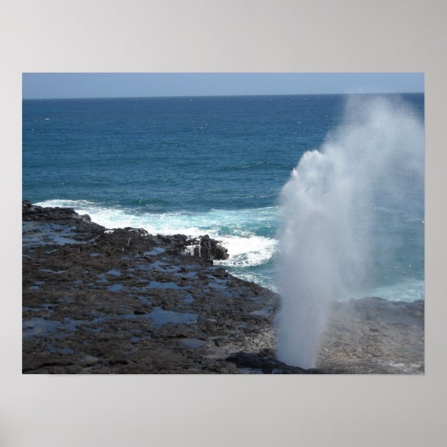 Póster Chifre Jorrante em Kauai, Havaí (Frente)