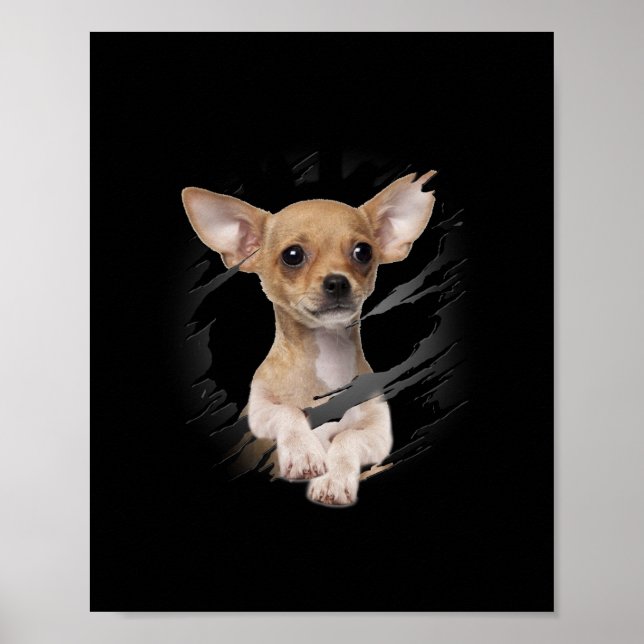 Poster Chihuahua (Frente)