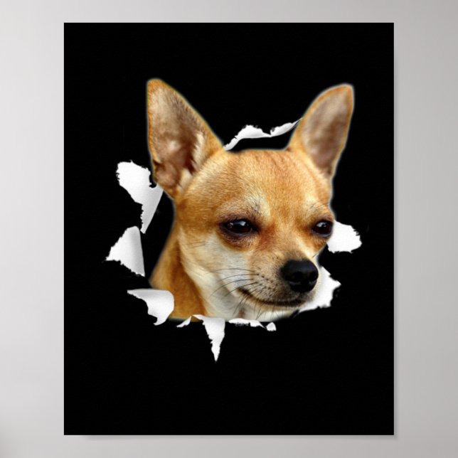 Poster Chihuahua (Frente)