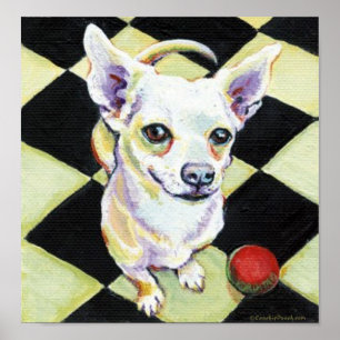 Póster Chihuahua branca com bola vermelha