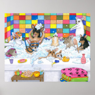 Póster Chihuahua do cão 121