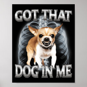 Poster Chihuahua engraçado tem esse cachorro no meme de a
