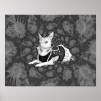 Chihuahua Floral Vintage Arte Negra E Branca De Cã