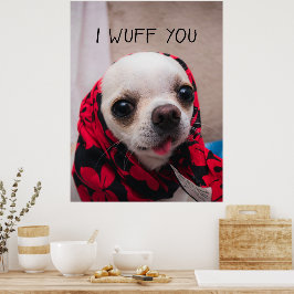 Poster Chihuahua fofo Eu queria que você amasse Namorados